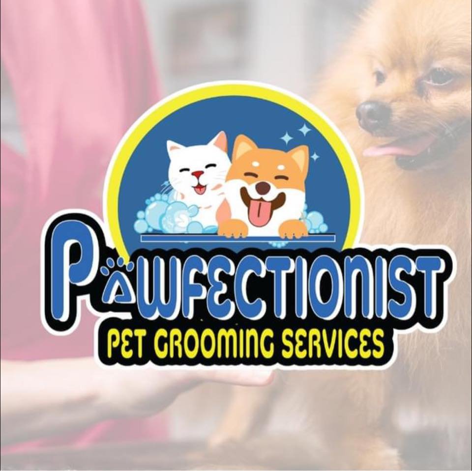 Pawfectionist Pet Grooming Services | Iligan City