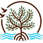 Kayak Rentals & Beach Vibes: Mangrove Resort 447782768_122107025312344157_229102727608490919_n