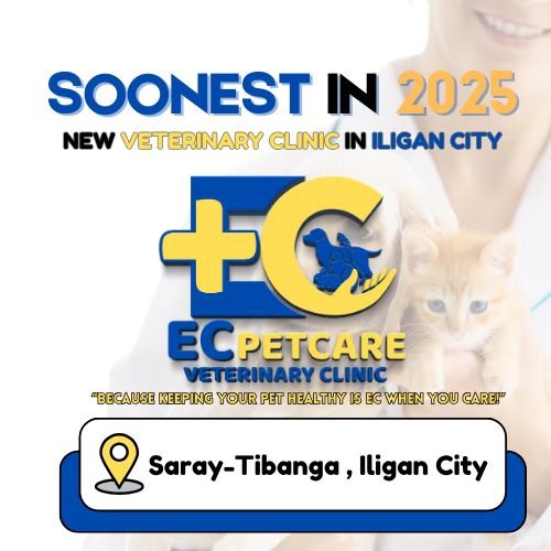 NOW OPEN: EC PetCare Veterinary Clinic – Iligan City!